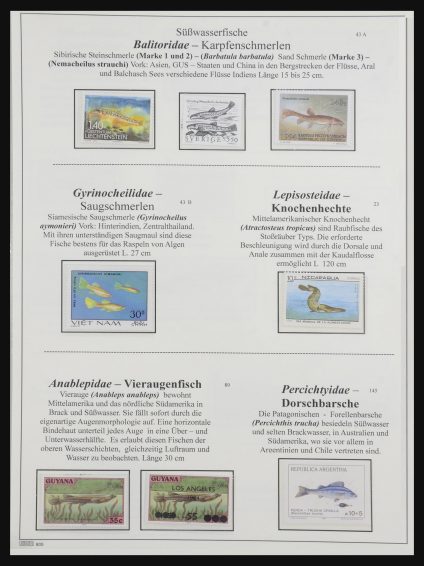 32443 Fish, fish and fish 1945-2005. - Image 1