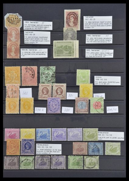 Stamp collection 33640 British Commonwealth key items 1853-1953.