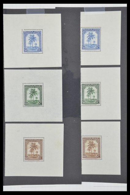 Stamp collection 33885 Belgian Congo 1886-1960.