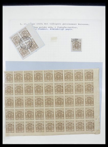 34564 Poland 1919-1928. - Image 1