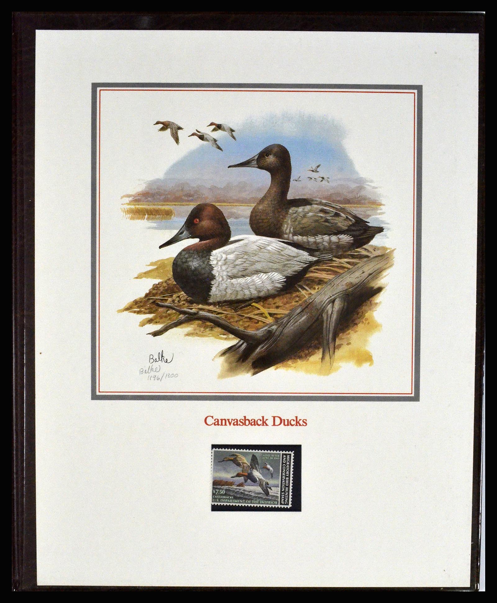 36793 001 36793 USA duckstamps. - Image 1