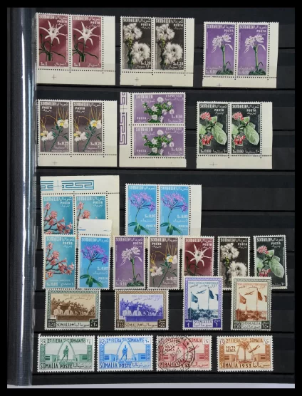 40884 Italy and colonies 1904-1941. - Image 1