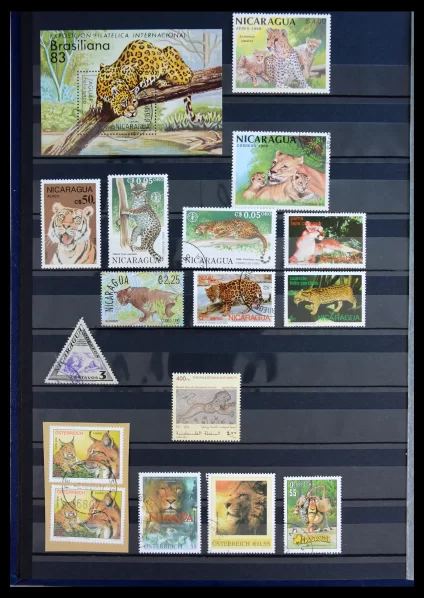 40971 Thematics lions/tigers 1870-2010. - Image 1
