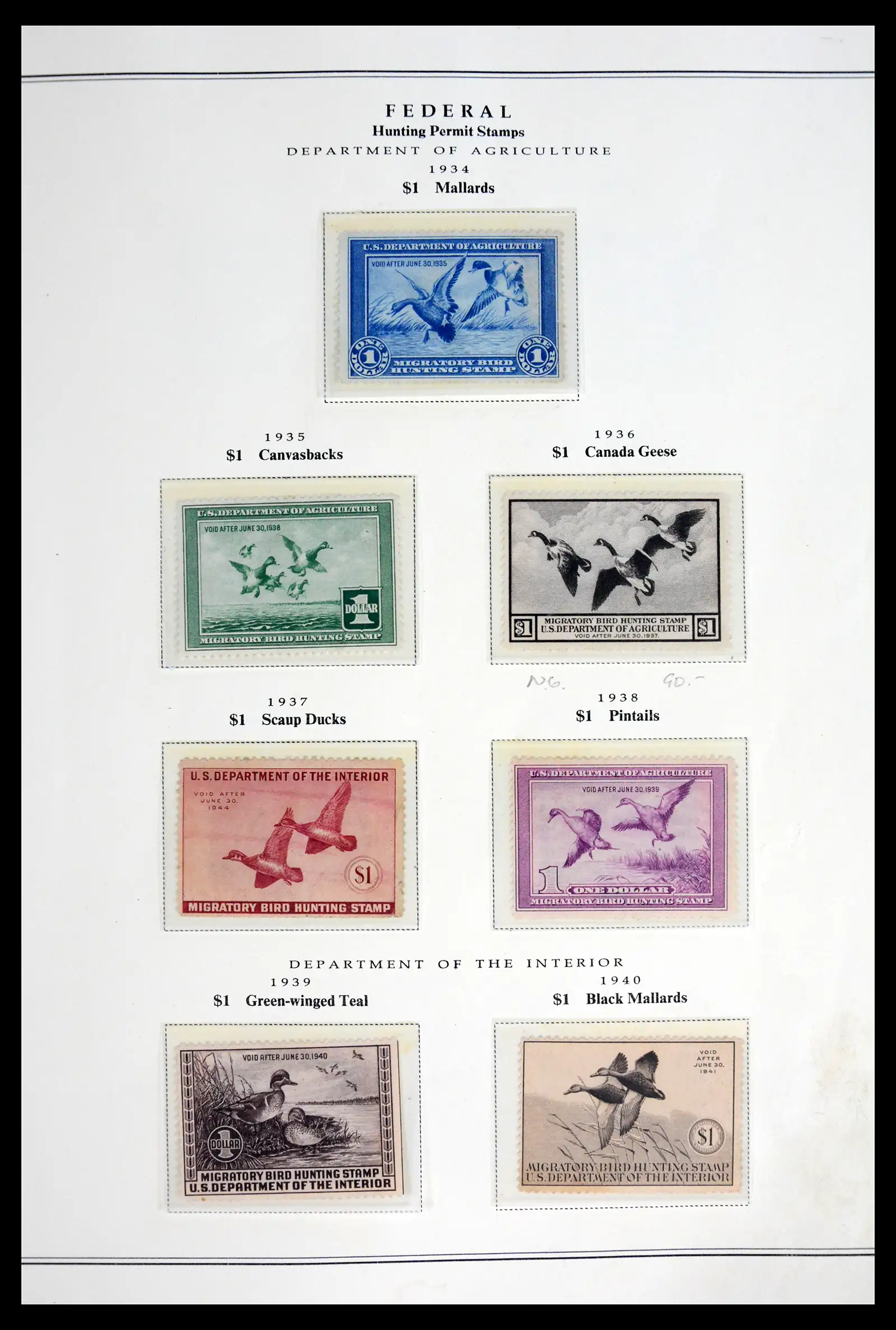 42088 0001 42088 USA duckstamps complete 1934-2021. - Image 1